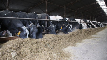 Экспорт поддержал объемы выпуска пищевой продукции в Приволжье