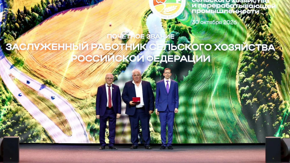 Нижегородские аграрии нарастили производство мяса на 10% и масличных на 40%