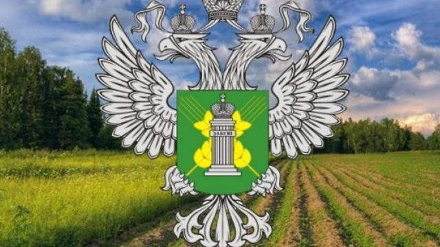 использование пестицидов