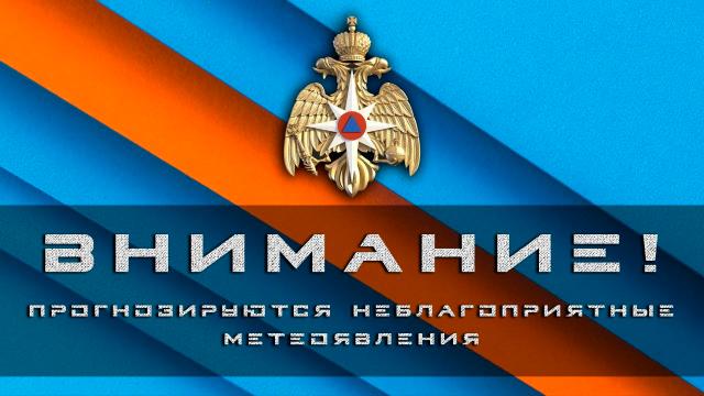 Заморозки в Нижегородской области