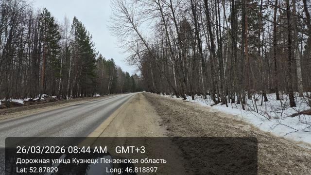 аварийные деревья
