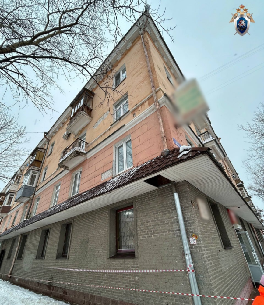 наледь упала на женщину с ребенком на улице Дьяконова