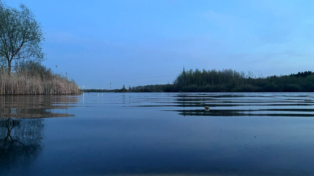 Роспотребнадзор назвал безопасные для купания водоемы Нижегородской области