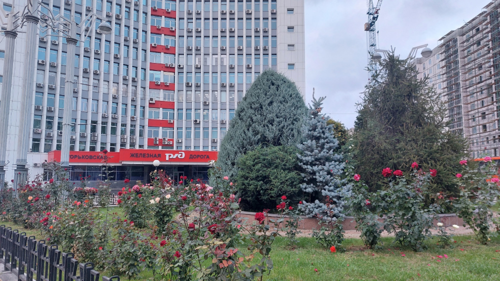 РЖД