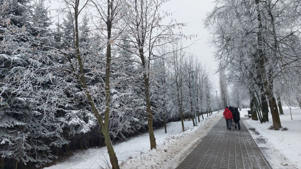 В Краснослободском районе Мордовии из‑за метели начались аварийные отключения света
