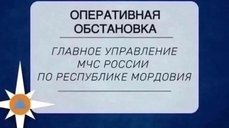 оперативная сводка