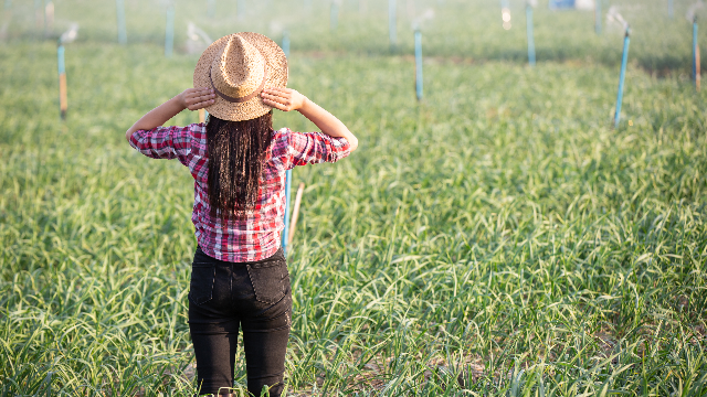 Девушка в поле