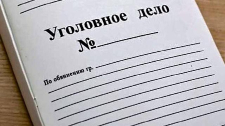 уголовное дело