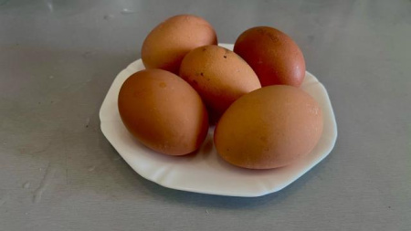 куриные яйца