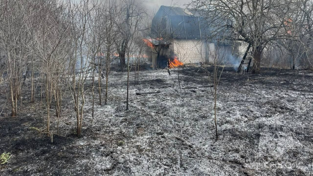 6 садовых домиков сгорели в Арзамасе из-за пала травы