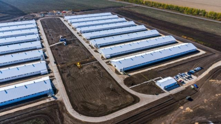 ГК «Дамате» 