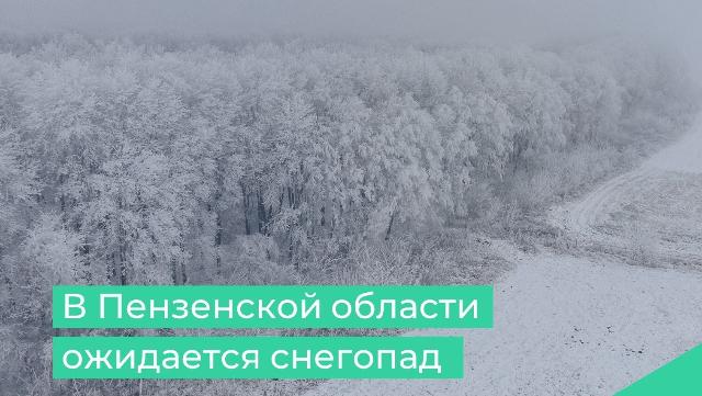 снегопад в Пензе