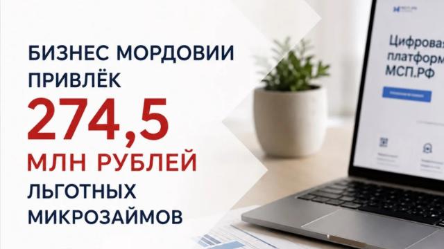 Бизнес Мордовии