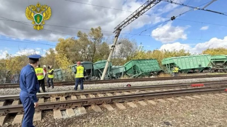 Семь вагонов сошли с рельсов на станции Новые Полянки в Мордовии