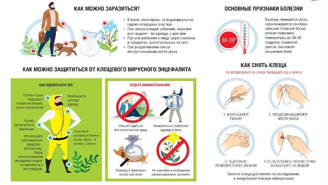 нападение клеща