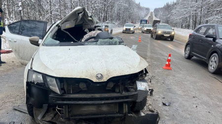 Трое сотрудников АНО «КРПП НО» погибли в ДТП на трассе Р-158 под Арзамасом