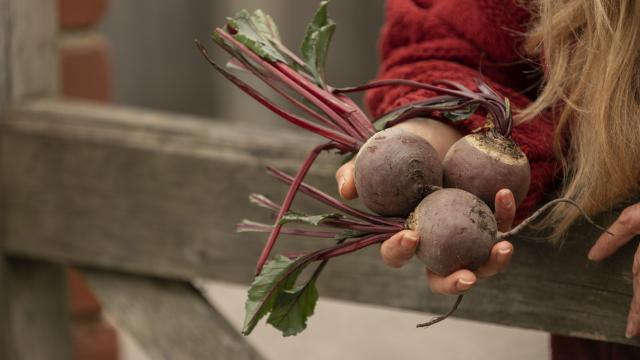 борщевой набор