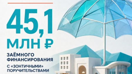 «зонтичные» поручительства