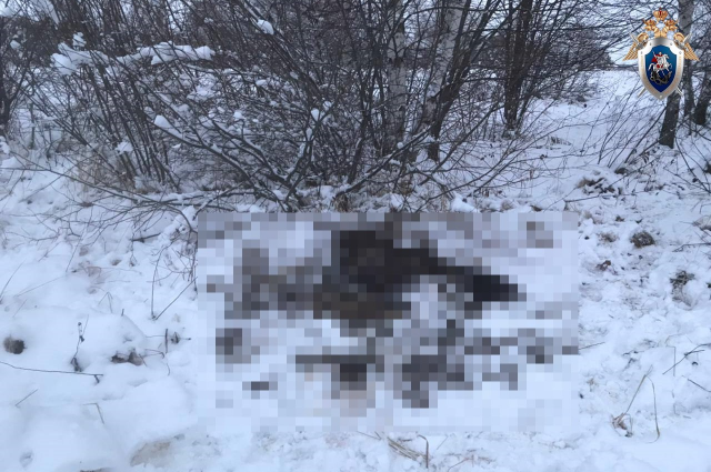 Останки лося