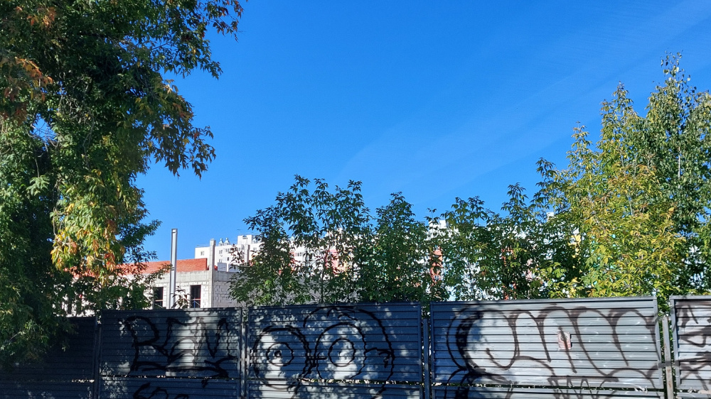 Нижегородское правительство взыскивает 333 млн рублей с концессионера ФОКа