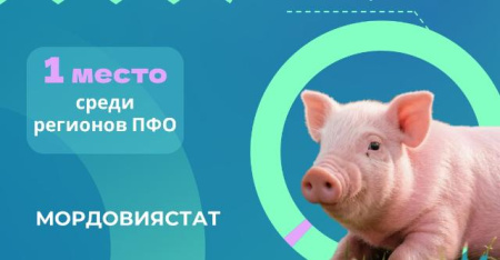 данные Мордовиястата