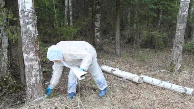 Специалист ветеринарной службы