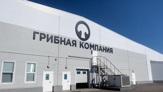 Грибная компания