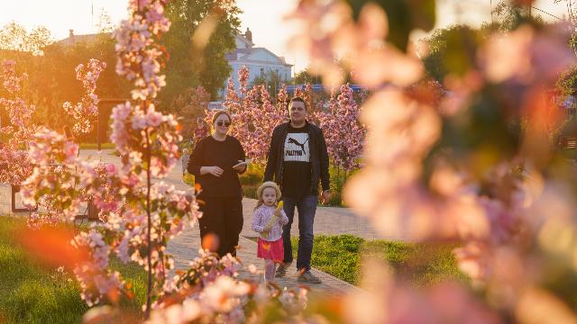 поддержка семей