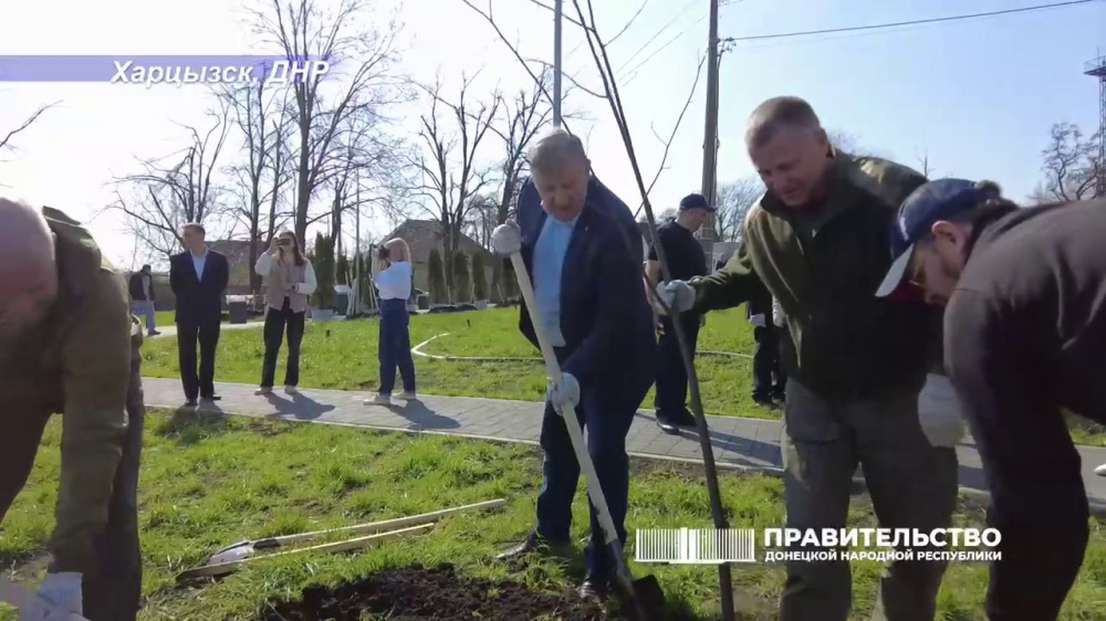 В Харцызске высажено 80 саженцев липы из Нижегородской области