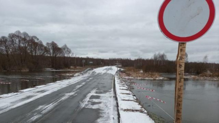 паводок в Мордовии