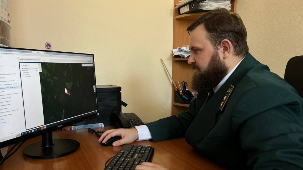 ИИ ускорит контроль лесных изменений в Нижегородской области  
