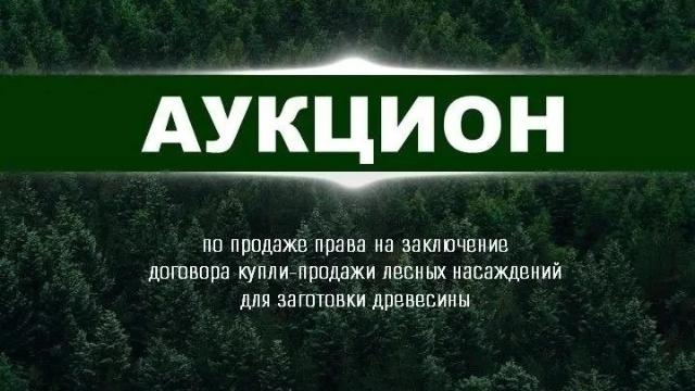 аукцион в Мордовии