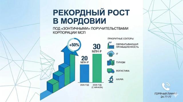 «зонтичные» поручительства