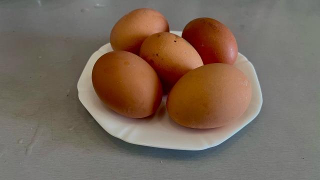 куриные яйца