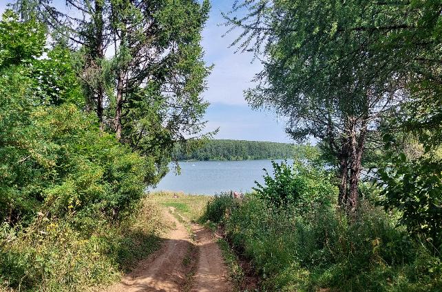 Нижегородская область входит в десятку регионов по протяженности грунтовых дорог