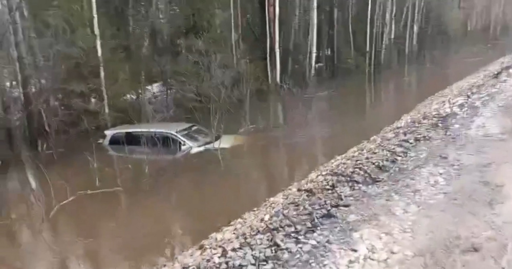 В Нижегородской области «Тойота» вылетела с дороги и ушла в воду