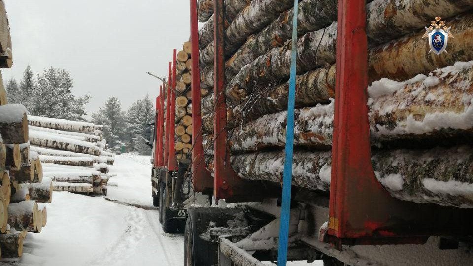 Уголовное дело возбуждено после гибели рабочего в Нижегородской области