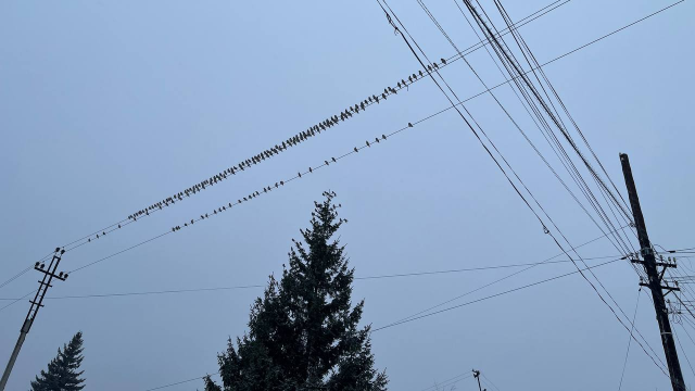 ЛЭП