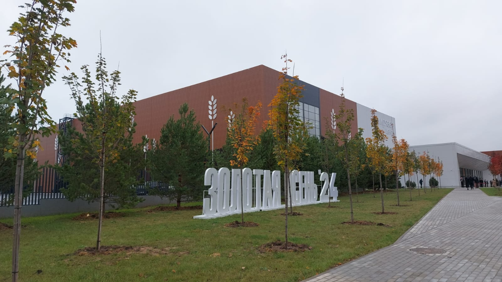 «Золотая осень»