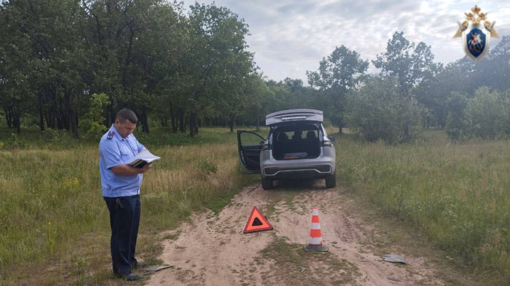 Доставщик еды задавил ребенка в Дзержинске