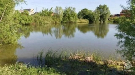 водоем в Рузаевке