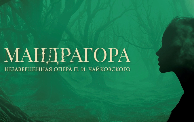 Мандрагора