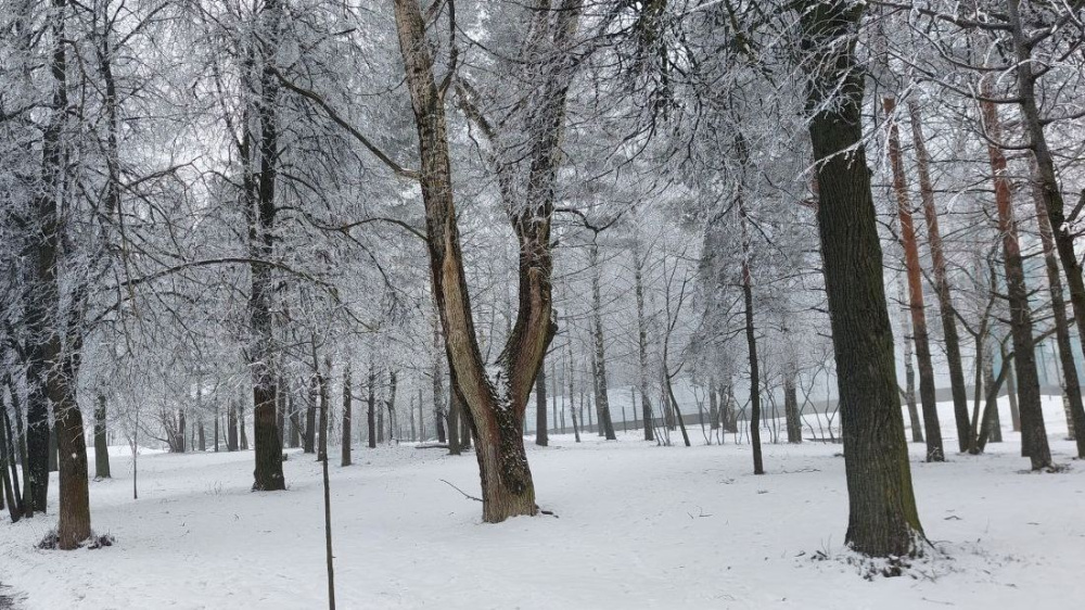 Зимний парк в Нижнем Новгороде