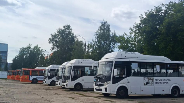 Автобусы
