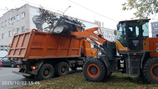 работа спецтехники