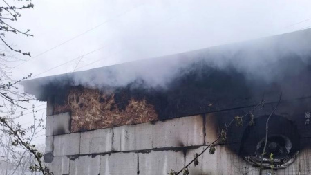В Нижнем Новгороде при пожаре в надворной постройке погибли около 200 собак