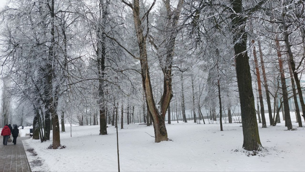 Зимний парк в Нижнем Новгороде