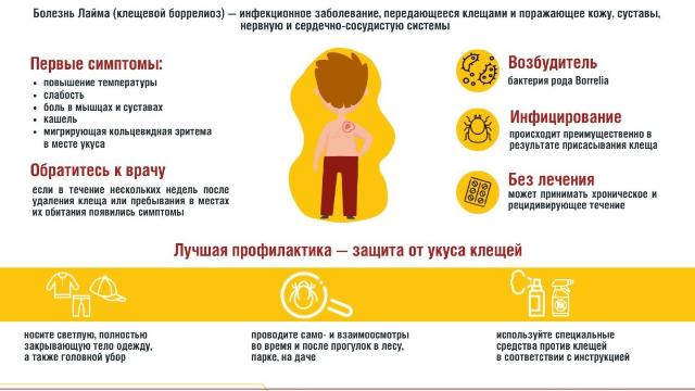 болезнь Лайма