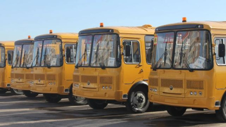 школьные автобусы