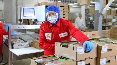 Группа компаний «Дамате»